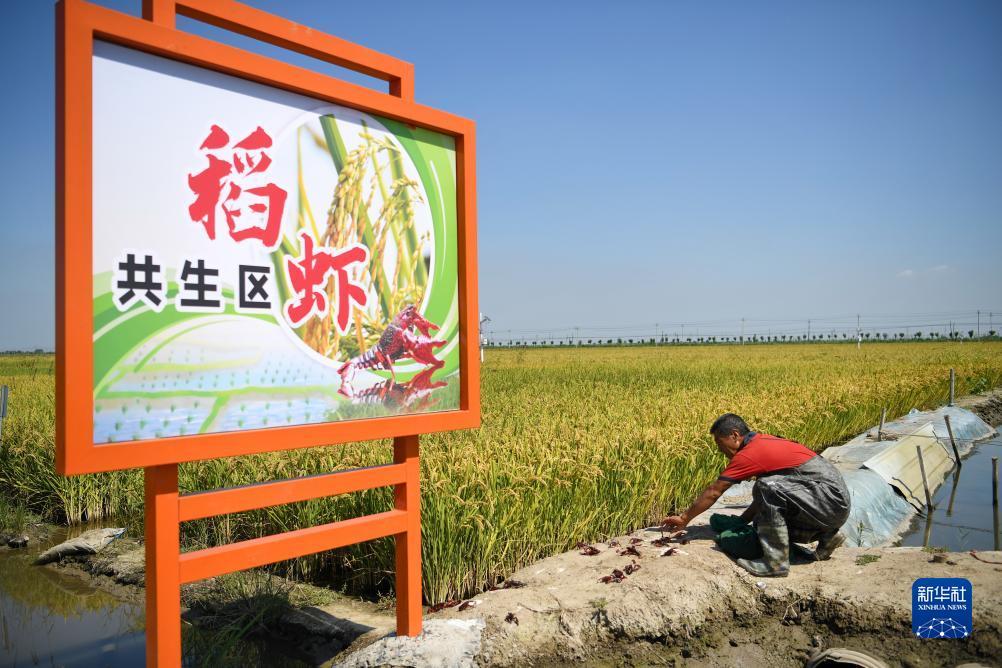 平博官方网站登陆
